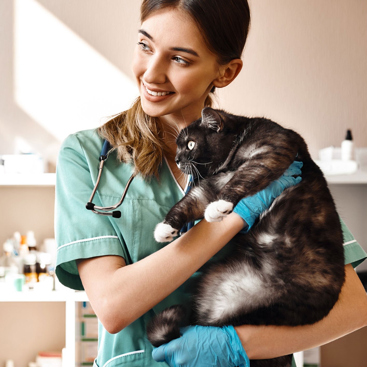 Vet Clinic Leechburg, PA