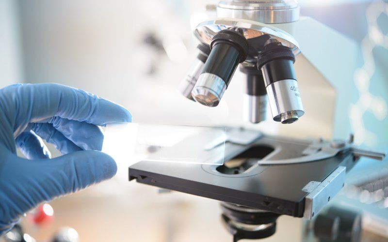 Il laboratorio