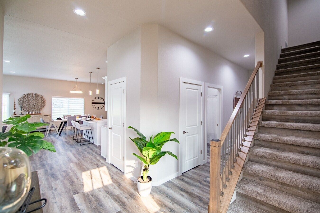 Modern foyer with wood-look floors, a carpeted staircase with a wooden railing, white doors, and a green potted plant.