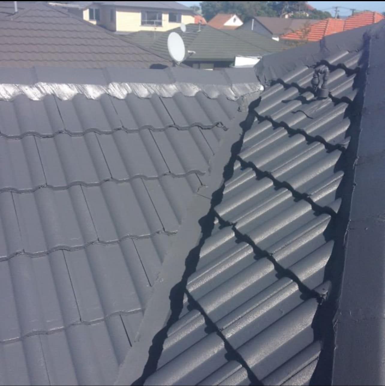 Concrete Tile Restorations Wellington