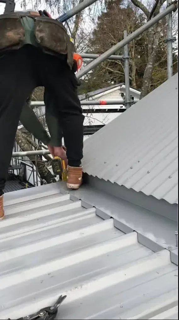 Roof Maintenance Wellington