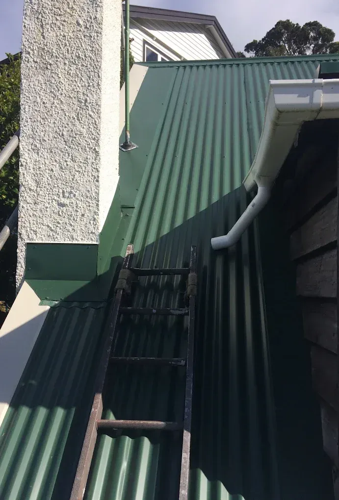 Guttering/Spouting Wellington