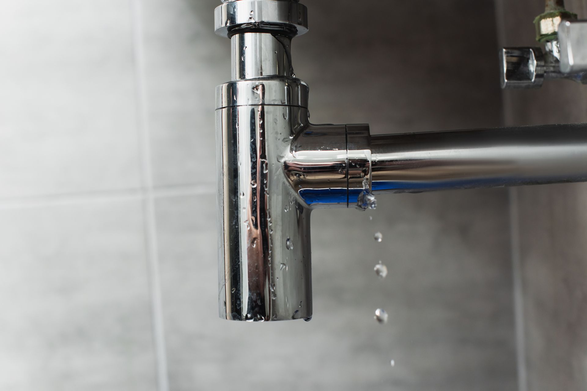 Water is leaking from a drain pipe in a bathroom.