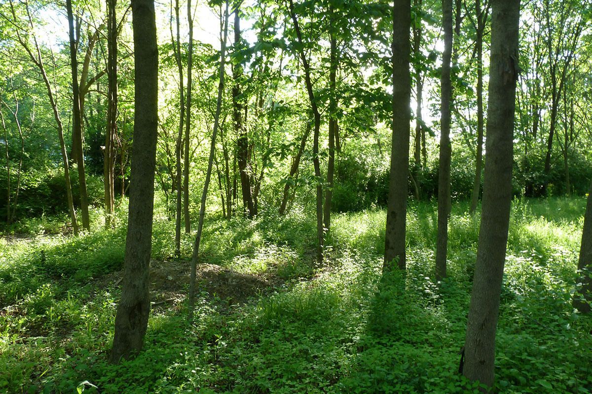 Flanner Buchanan Green Burial Ground at Washington Park North in Indianapolis, IN