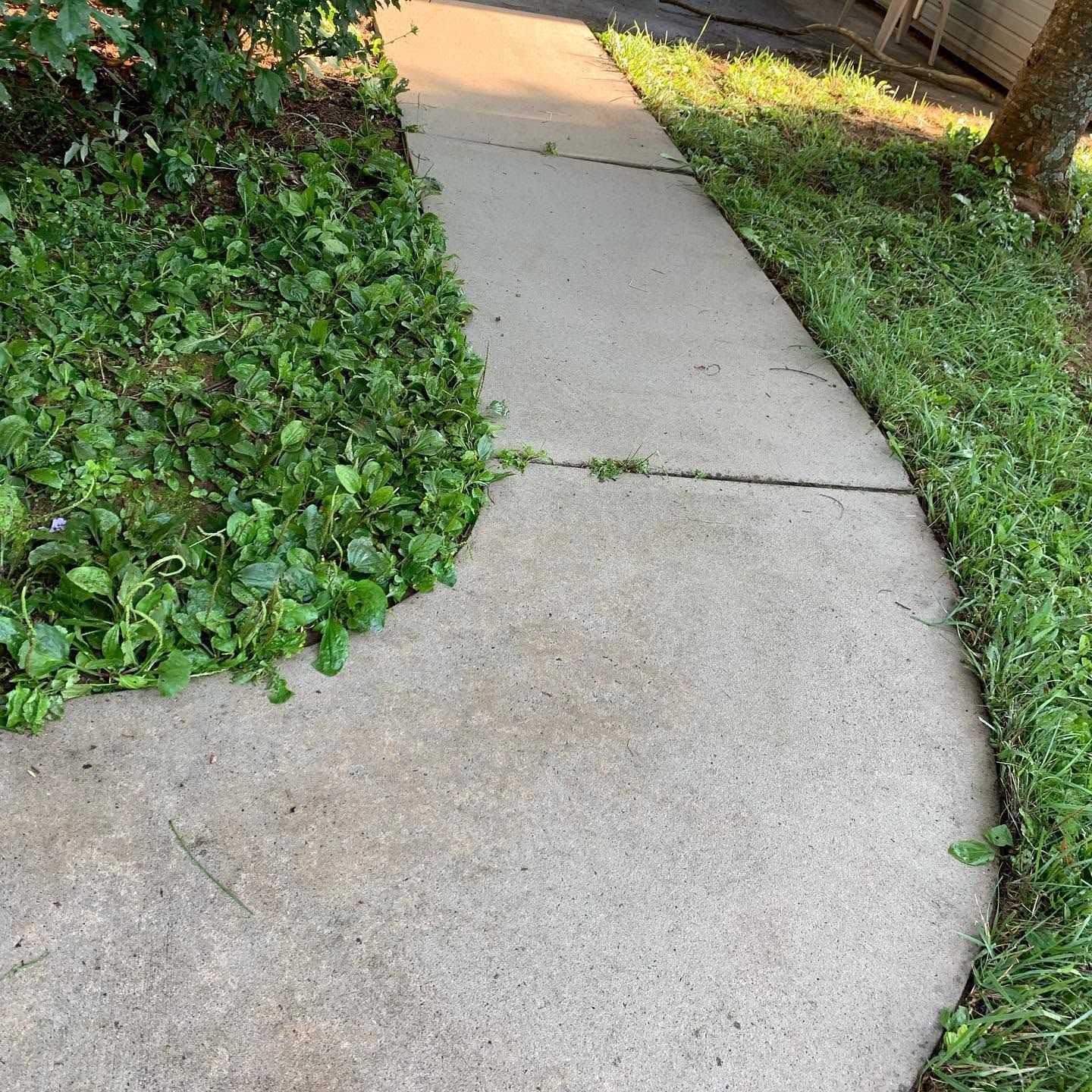 Curved concrete sidewalk bordered by green grass and plants, with a crack across the path