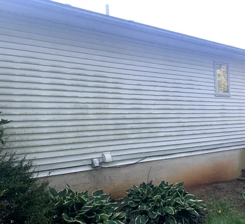 White house siding with small window, foundation discoloration, and shrubs in the foreground.