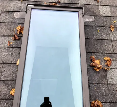 Skylight window set in gray roof shingles, with a few fallen leaves around it.
