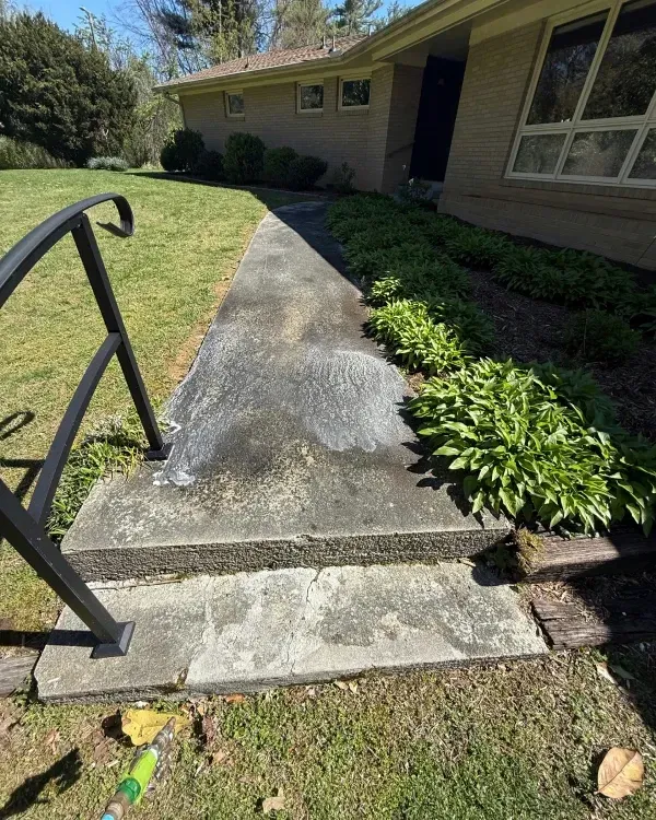 Concrete walkway leading to a house entrance, with a black handrail and shrubs along the side.