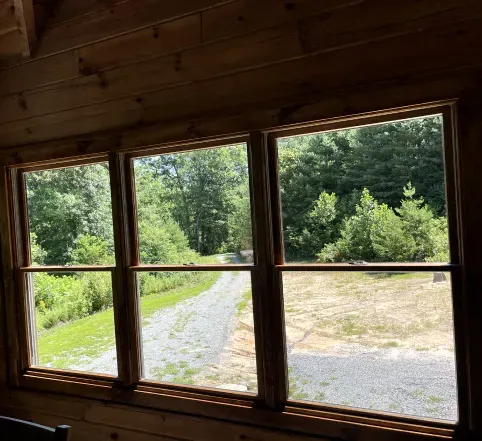 Wooden cabin window overlooking a gravel driveway and green trees outside
