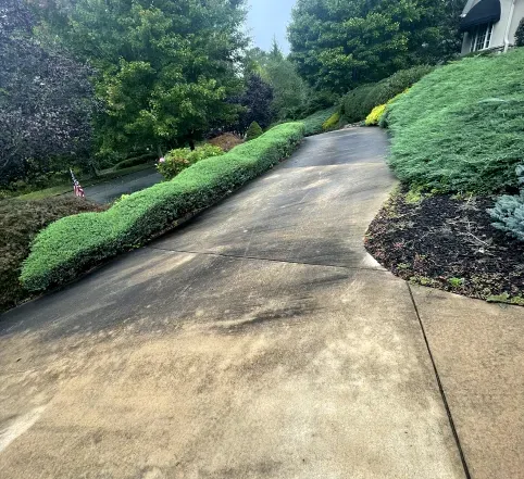Curved concrete driveway bordered by trimmed green hedges and trees on a hillside