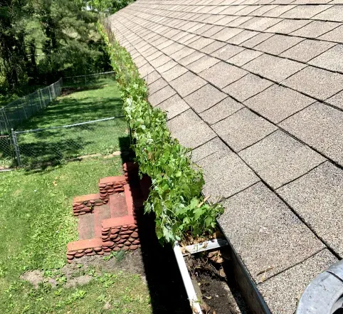 Roof edge with ivy, looking down onto a grassy yard and stacked red roof tiles below.
