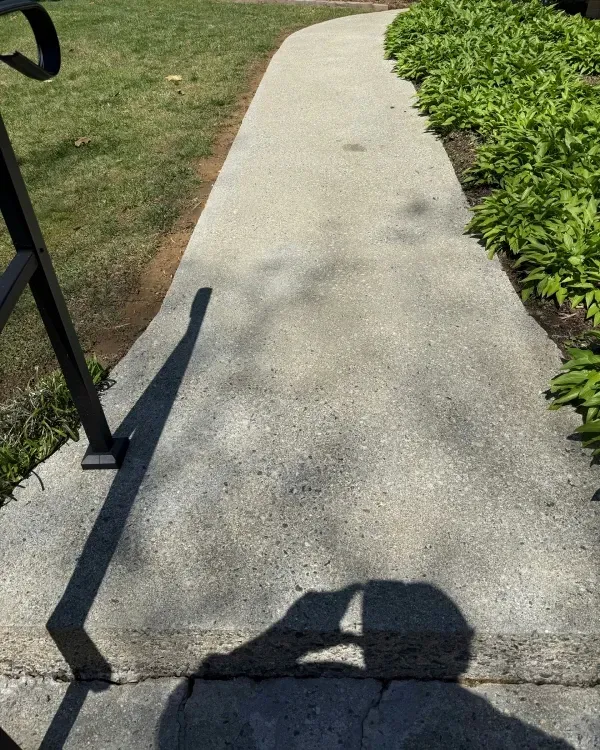 Concrete sidewalk curving through grass, with shrubs along the right edge and a shadow in the foreground