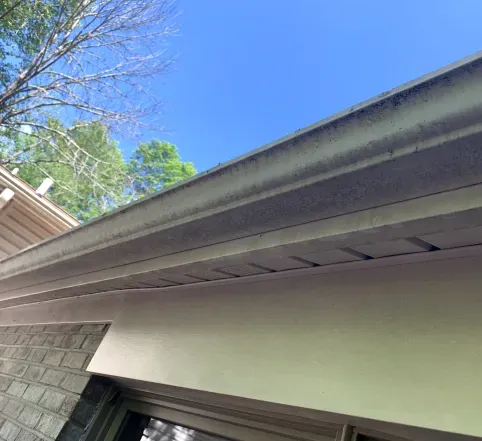 Close-up of a house roof and gutter under a blue sky, with trees visible above.