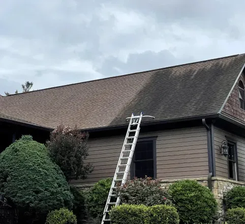 Ladder leaning against a brown house roof under cloudy skies, with shrubs in front
