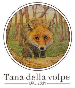logo tana della volpe