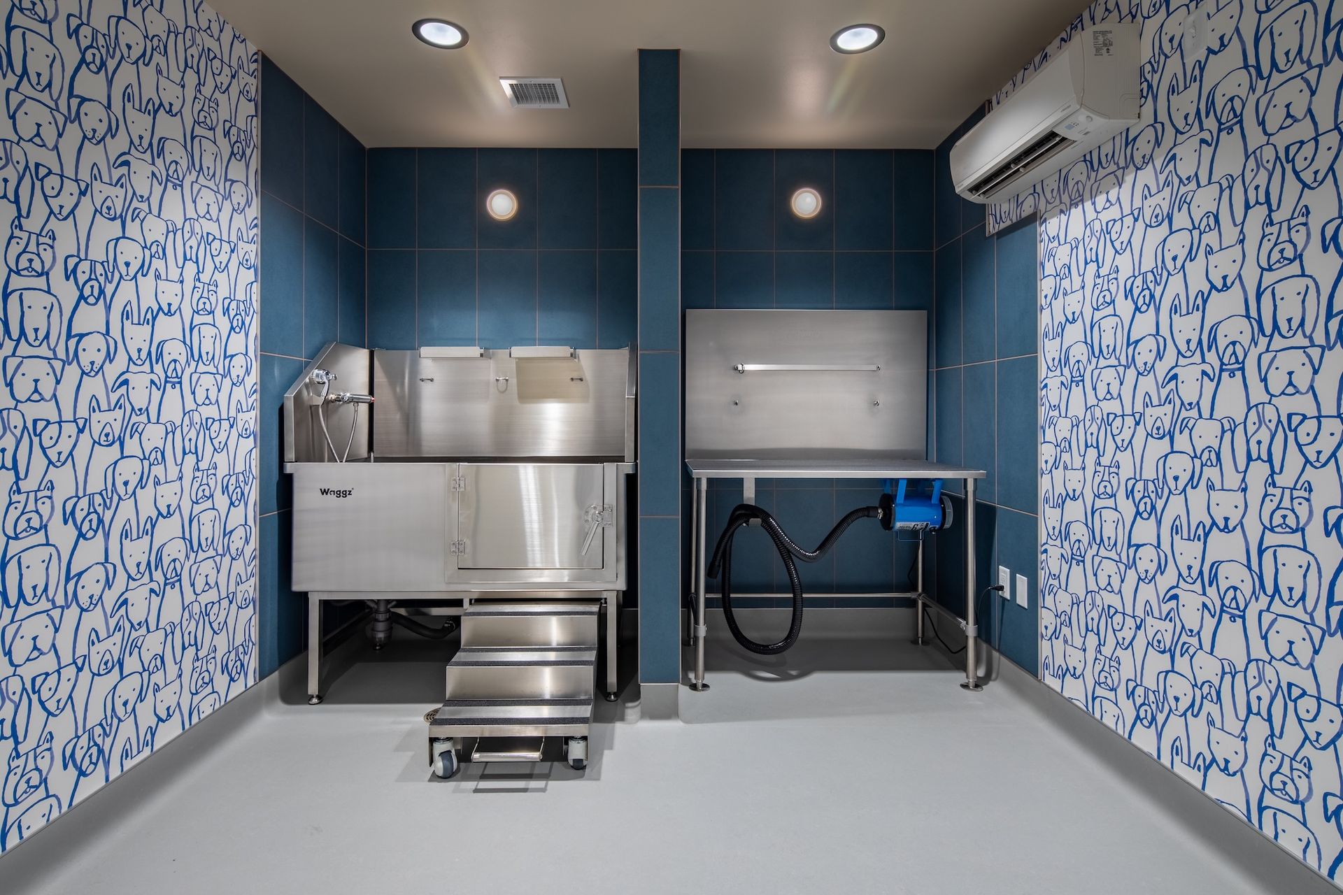Sterile veterinary exam room with stainless steel tables, sink, and blue patterned walls