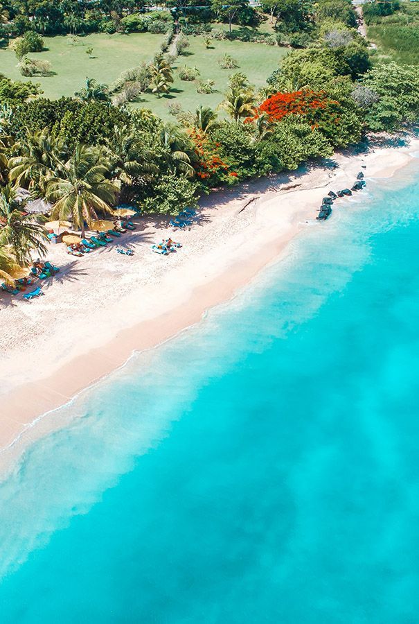 An aerial view of a tropical beach with palm trees and turquoise water.
