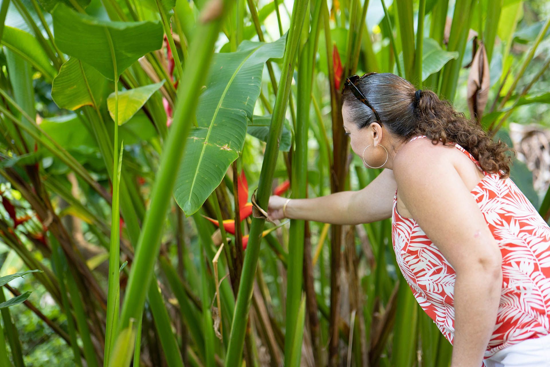 A woman is looking at a plant with red flowers.