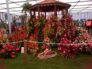 Orchids are from Smithy’s GardenGrenada 