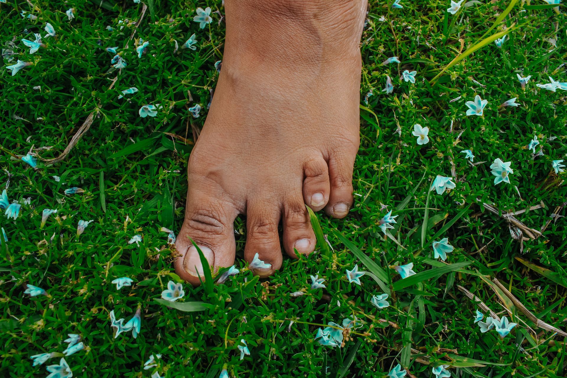 Bare foot on green grass with small blue flowers.