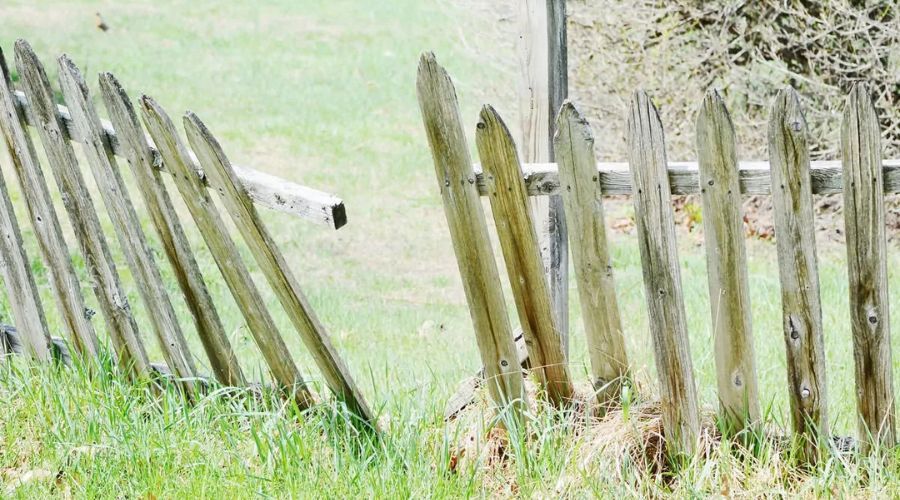 Storm-damaged wooden picket fence leaning in a grassy yard