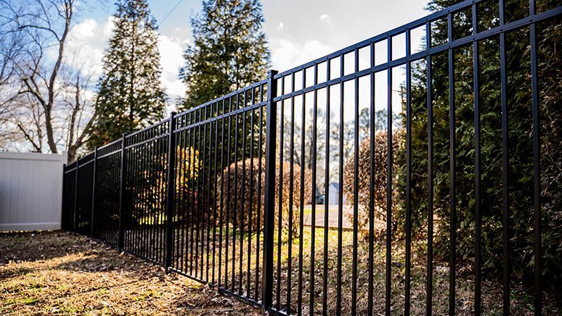 Ornamental Steel in Battlefield, Missouri offering elegant visibility, low-maintenance durability, and backyard safety.