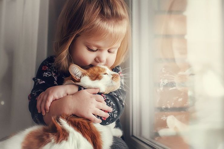 stock photo of a little girl hugging a cat