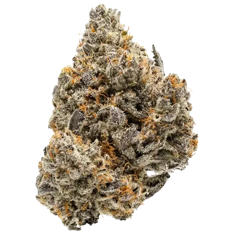Cannabis bud, light green, orange hairs, covered in trichomes.