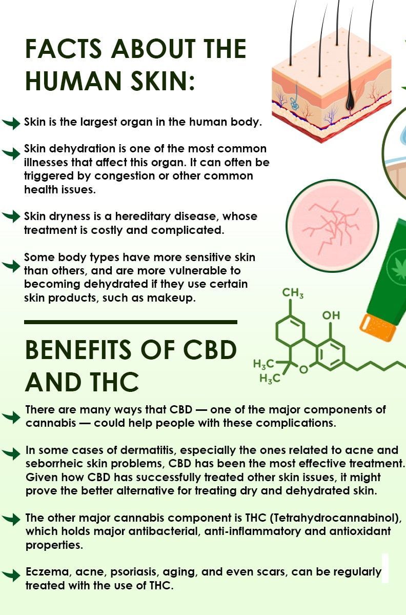 skin and cannabis