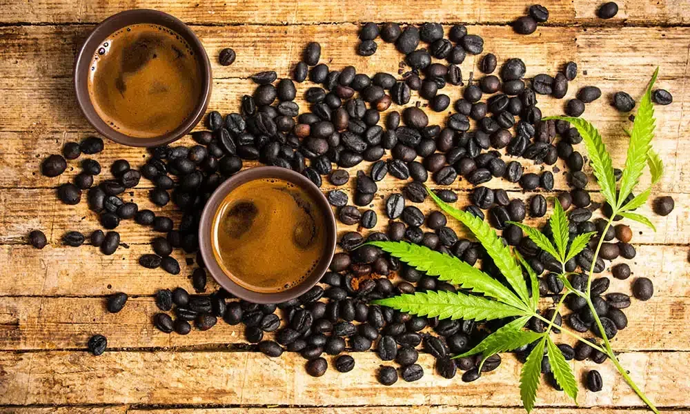 Two cups of coffee, coffee beans, and cannabis leaf on a wooden surface.