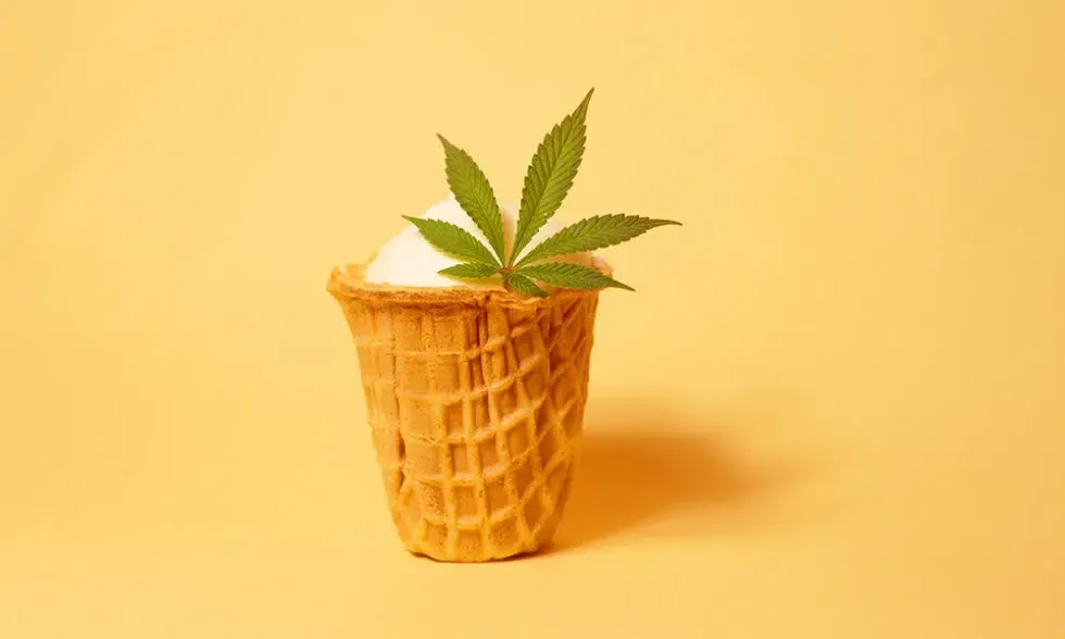 Ice cream cone with scoop of white ice cream, topped with a green cannabis leaf, on a yellow background.