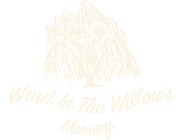 Wind In The Willows Nursery