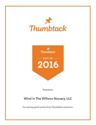 Wind In The Willows Nursery Thumbtack Best Of 2016 Certificate