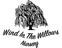 Wind In The Willows Nursery