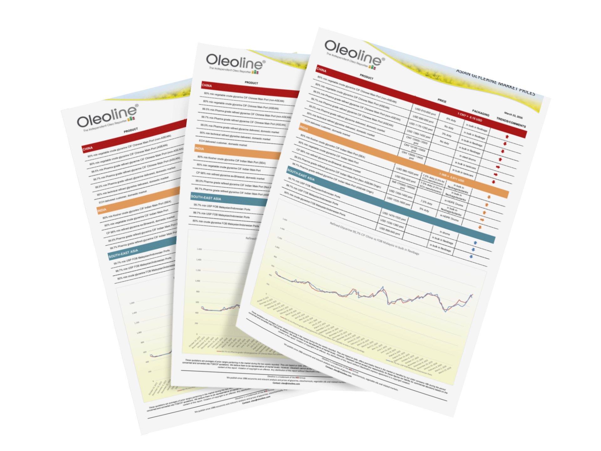 Refined Glycerine Market Report sample pages