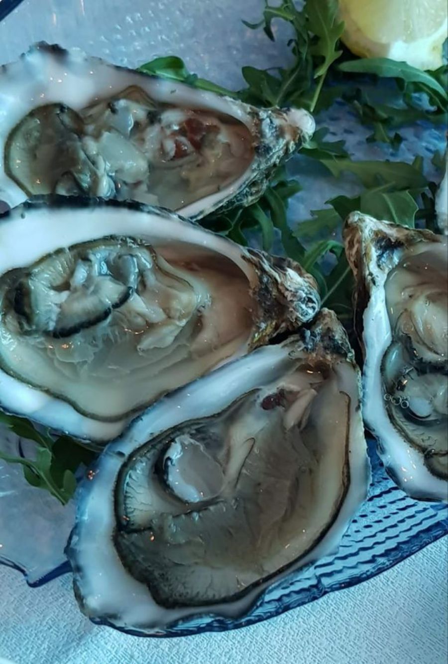 ostriche