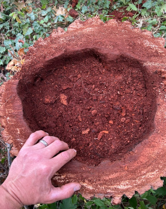 A hand rests on a tree stump with a hollow center filled with loose, reddish-brown wood mulch and soil.