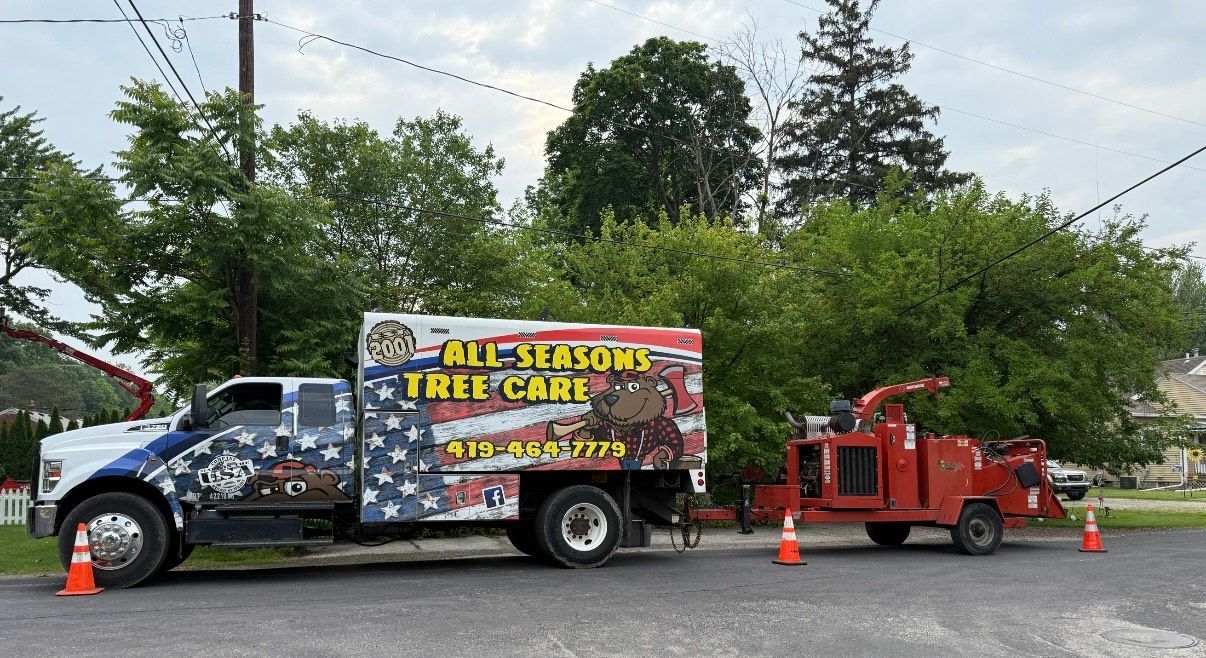 All Seasons Tree Care - Tree Removal Services