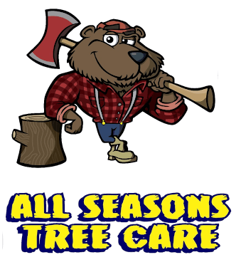 All Seasons Tree Care