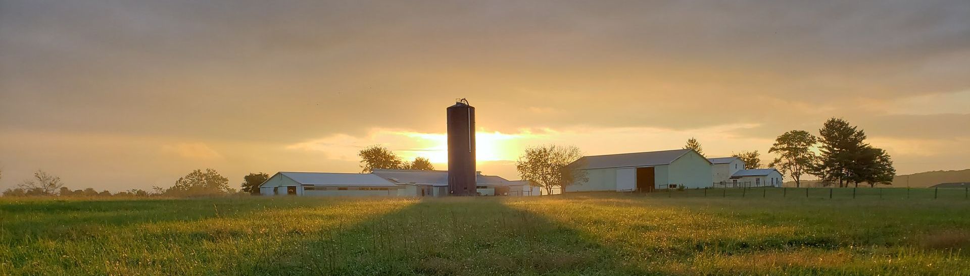 Sunrise over a farm, with a silo and buildings silhouetted against the golden sky, field in the foreground.