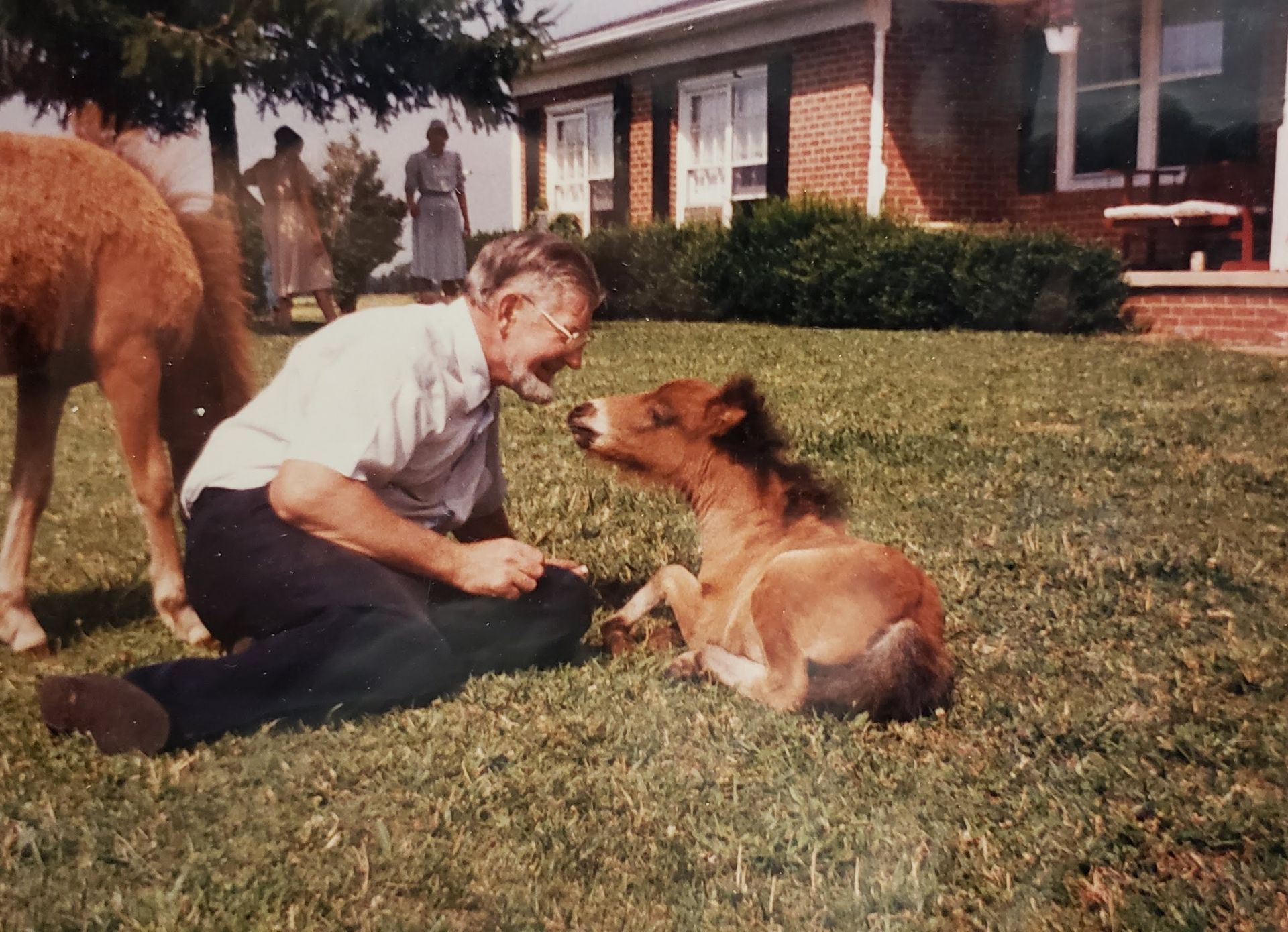 Man kneels on grass, face-to-face with a pony, two women stand in the background, brick house visible.