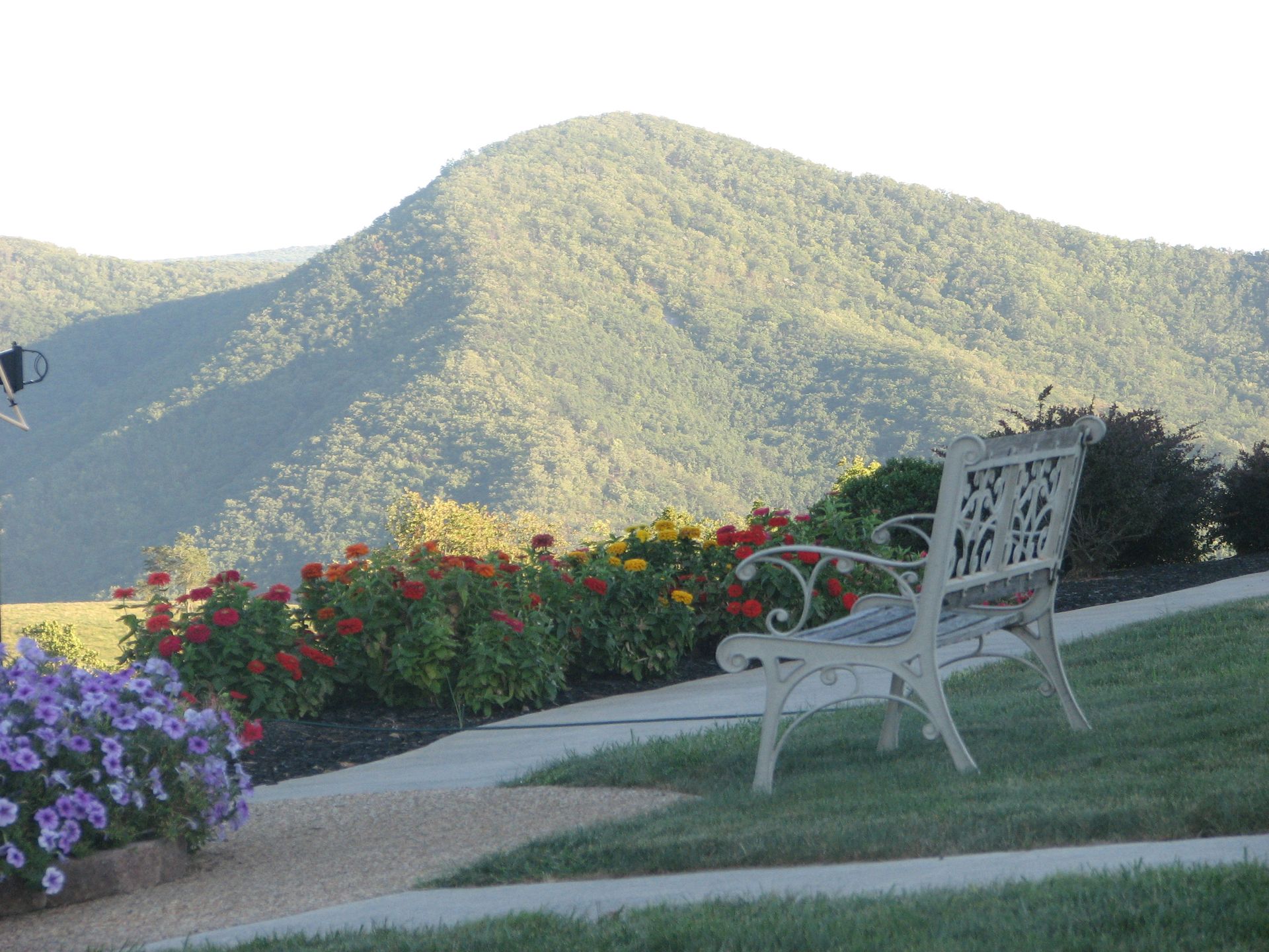 White bench overlooking a mountain range, with flowers in foreground.