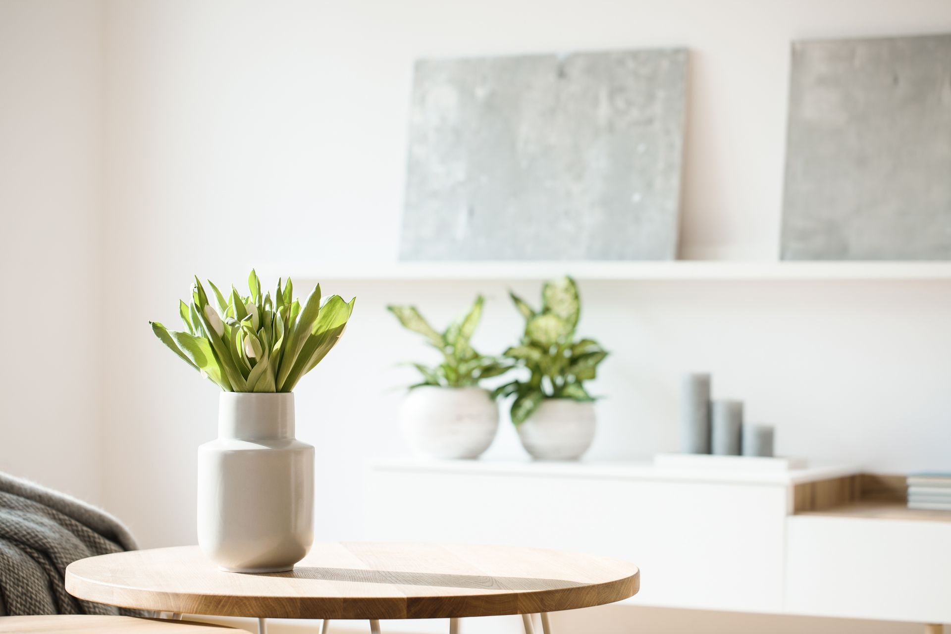 A potted plant is sitting on a wooden table in a living room.