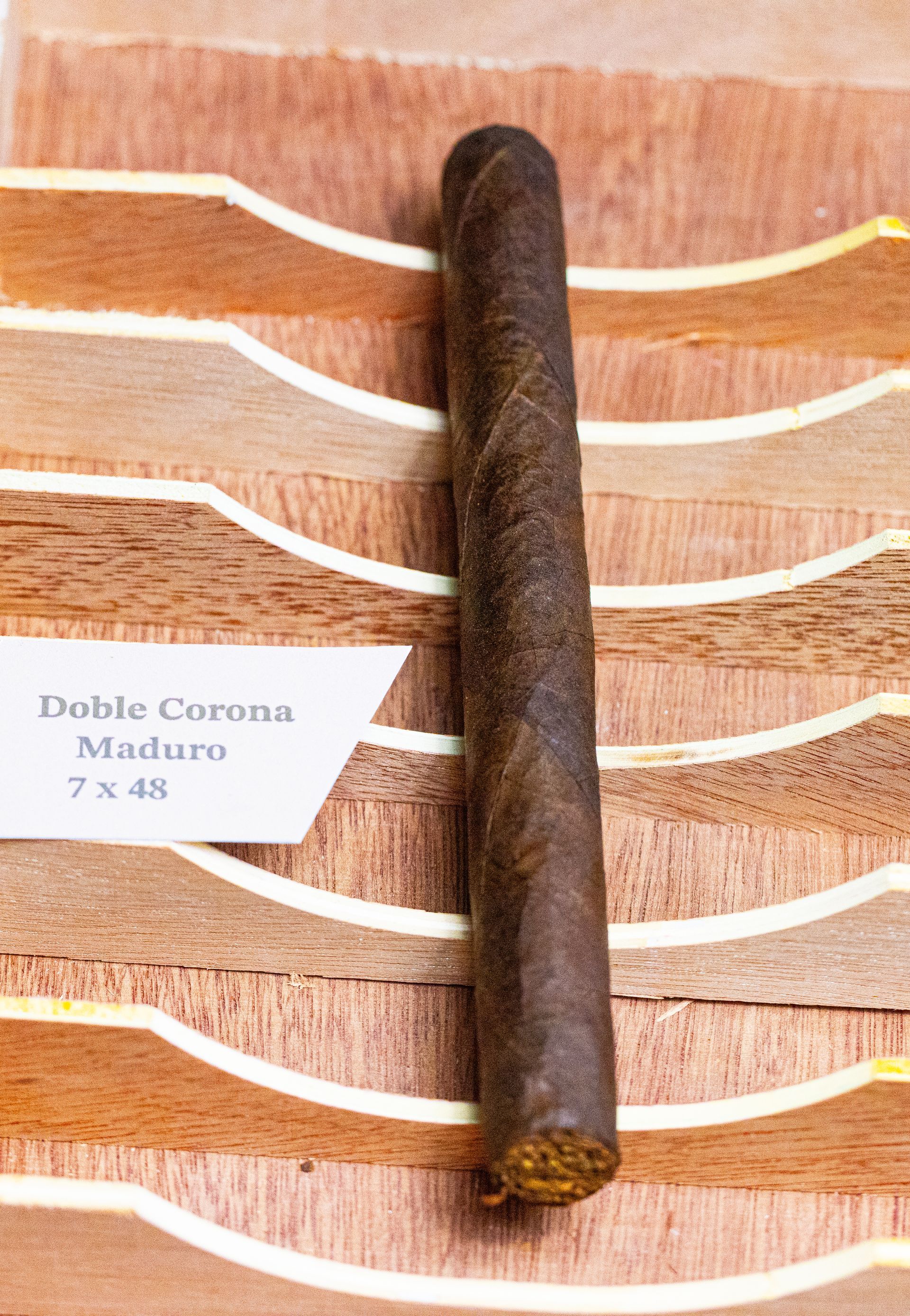Dominican Blend Robusto