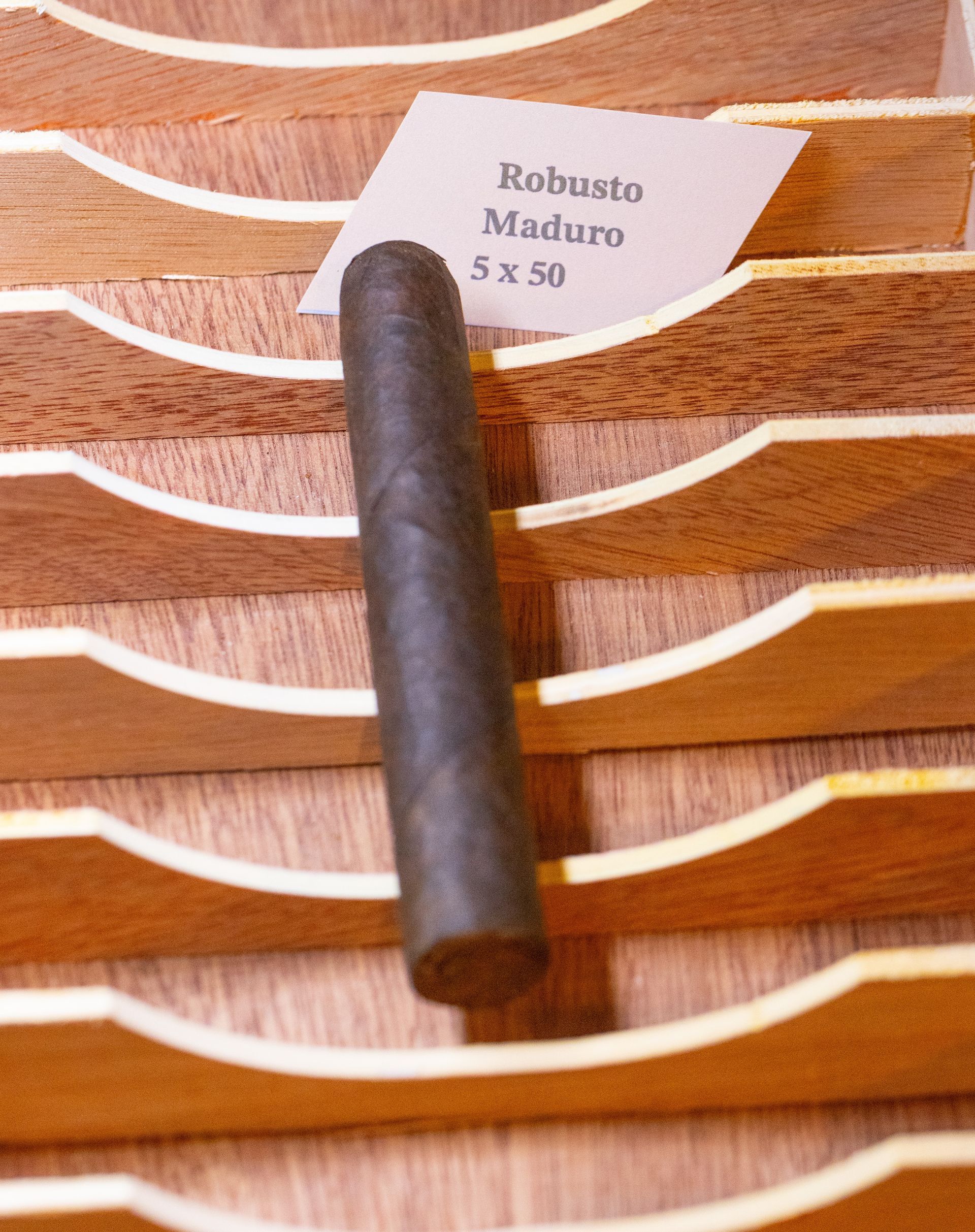Dominican Blend Robusto