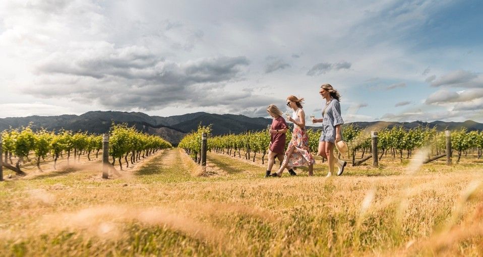 People walking through a vineyard under a cloudy sky with mountains in the distance