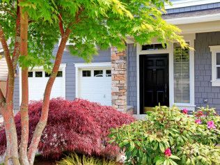 Home exterior with red Japanese maple, black front door, and colorful landscaping.