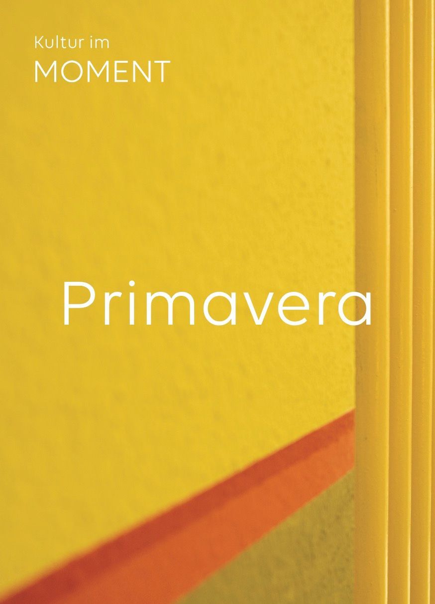 Primavera Flyer