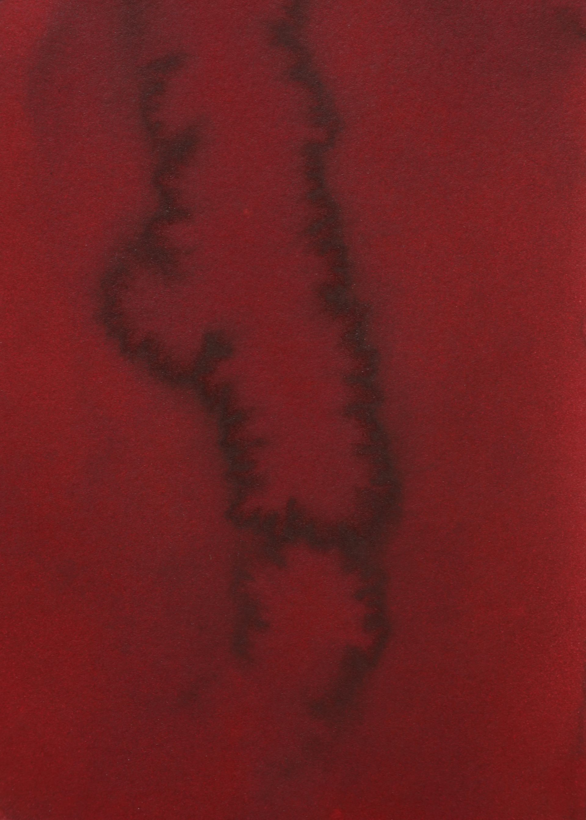 Ein roter Hintergrund mit den Worten Habitat II darauf