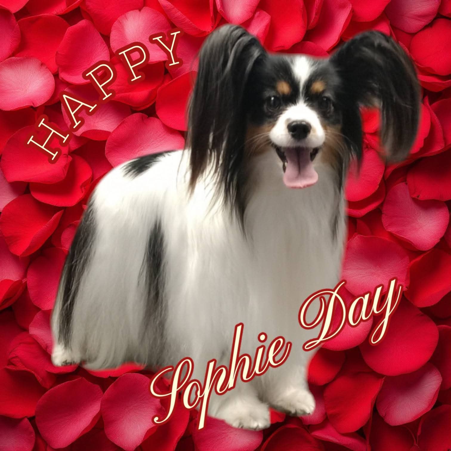 Cane Papillon con pelo bianco e nero, adagiato su un letto di petali di rose rosse con la scritta